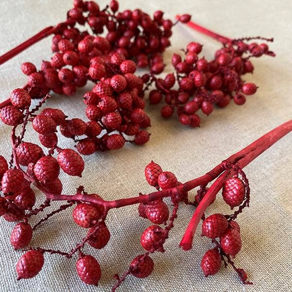 Dried Natural Red Canella Berry Stems