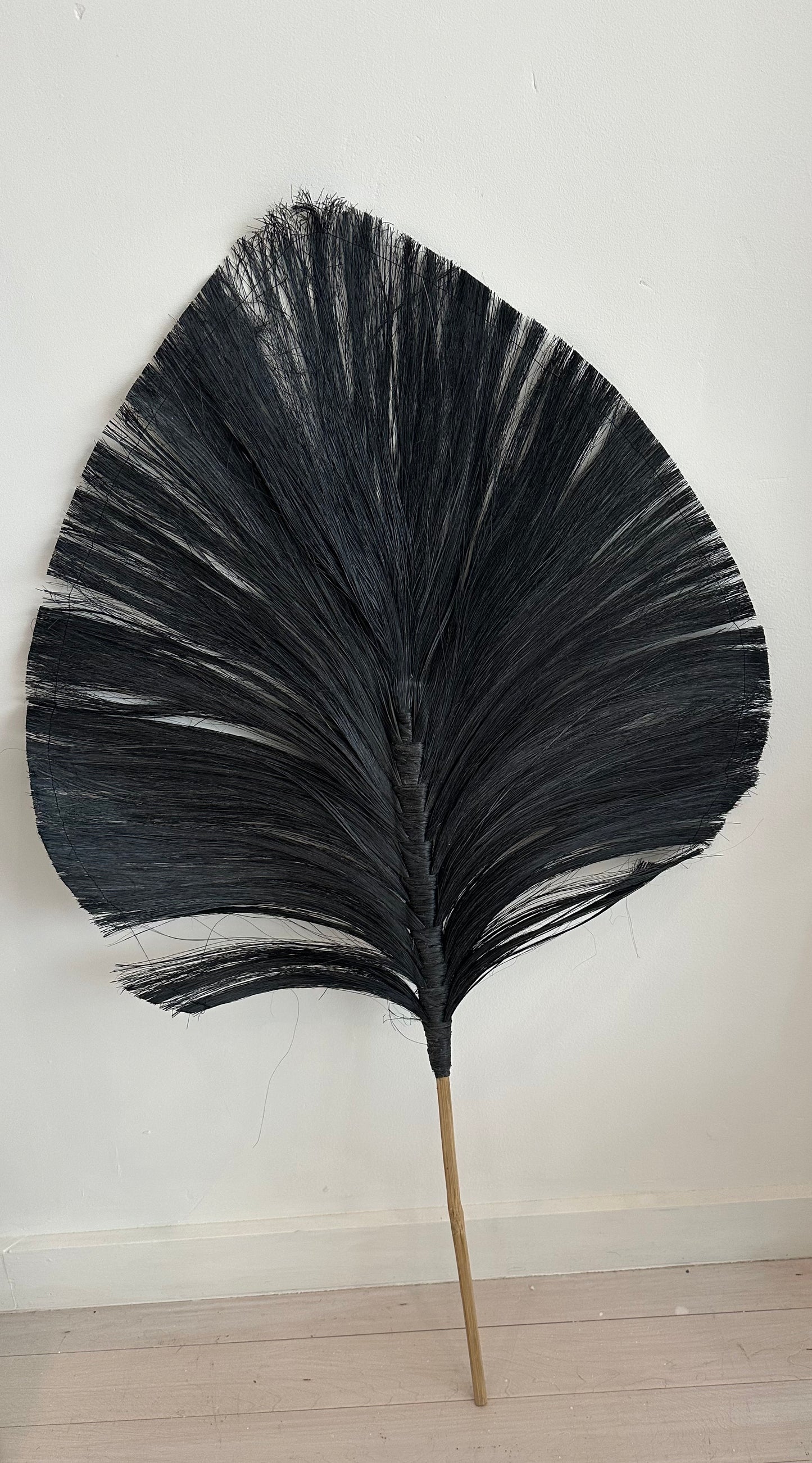 Large Dried Palm Leaf