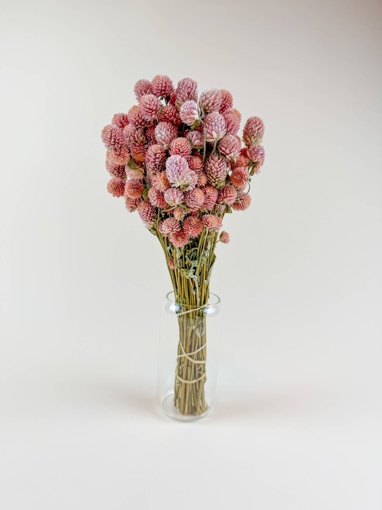 Rose Pink Globe Amaranth - Naturally Dried Flowers