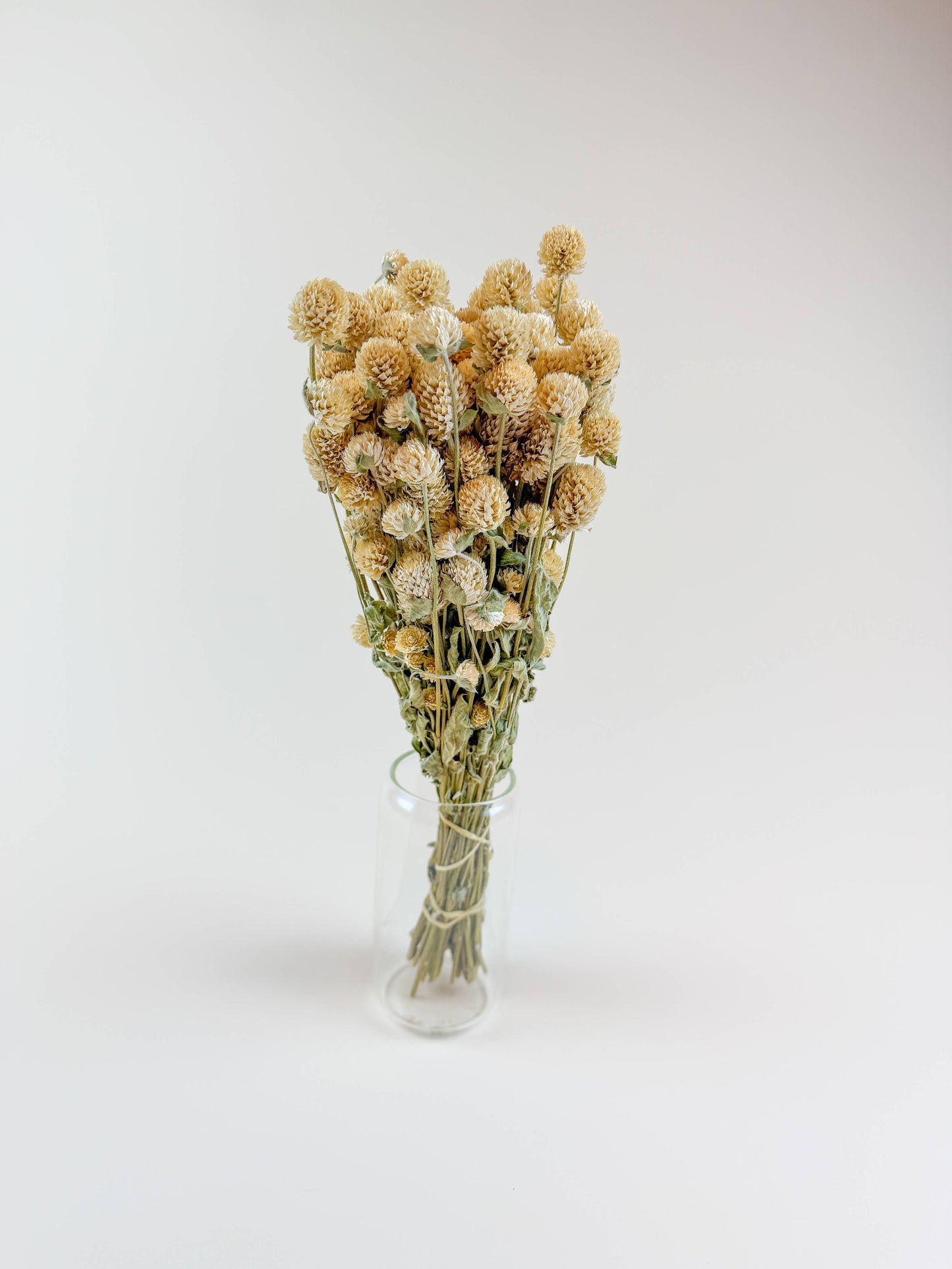 Honey Globe Amaranth – Naturally Dried Flowers