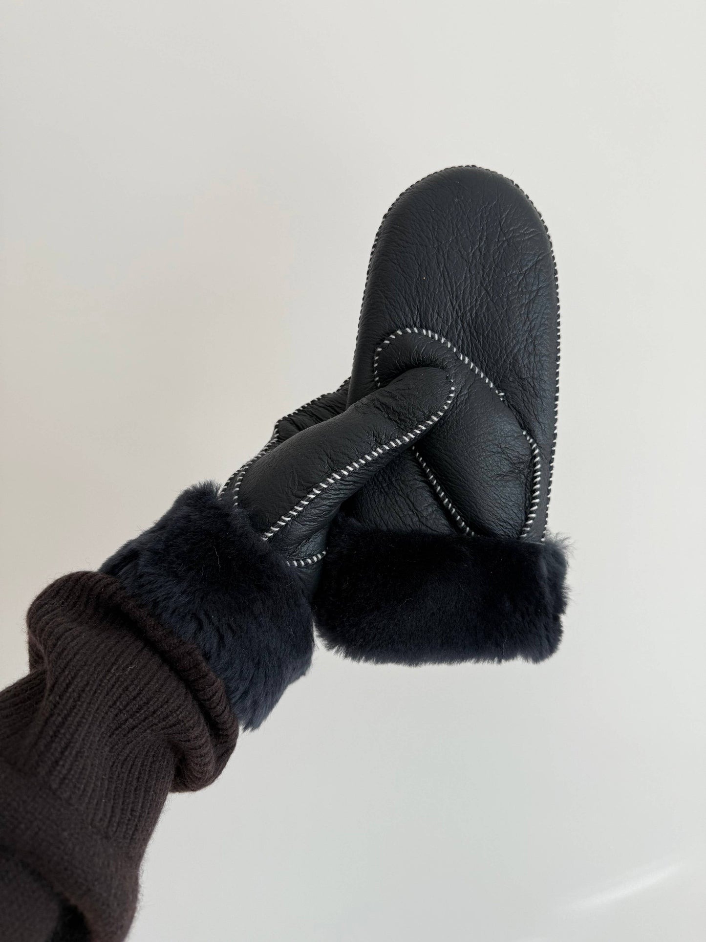 Leather and Shearling Mittens