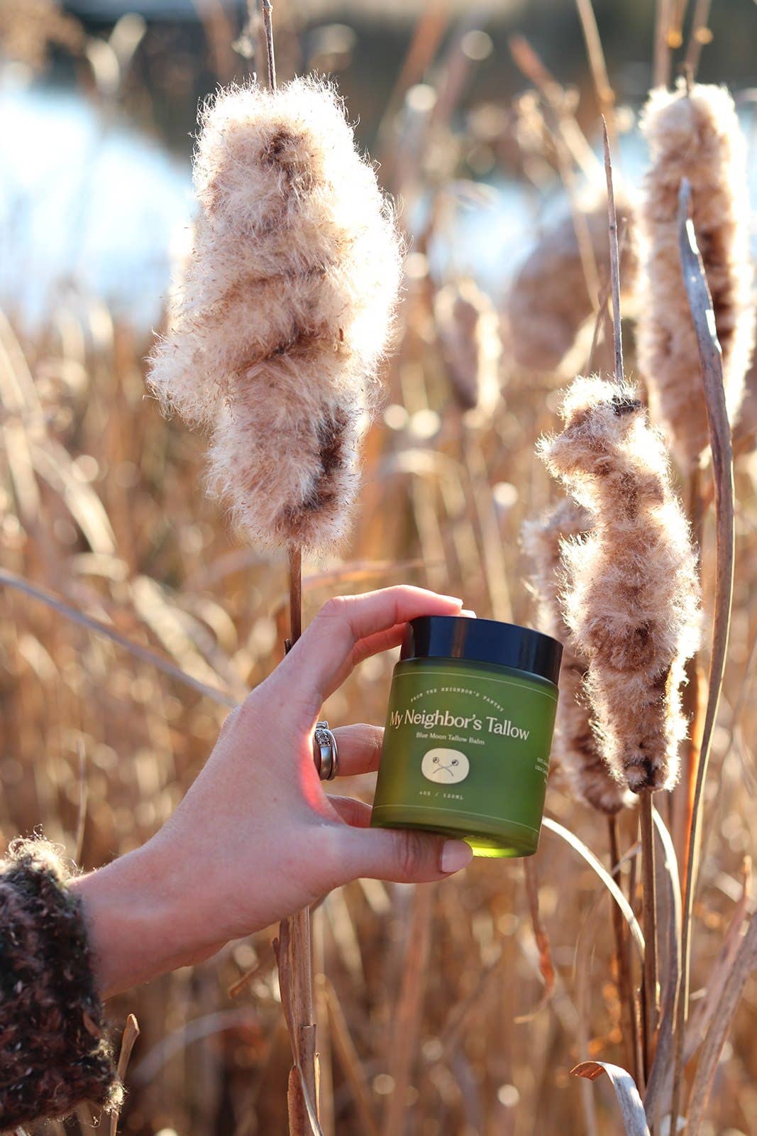 Blue Tansy - Tallow Balm