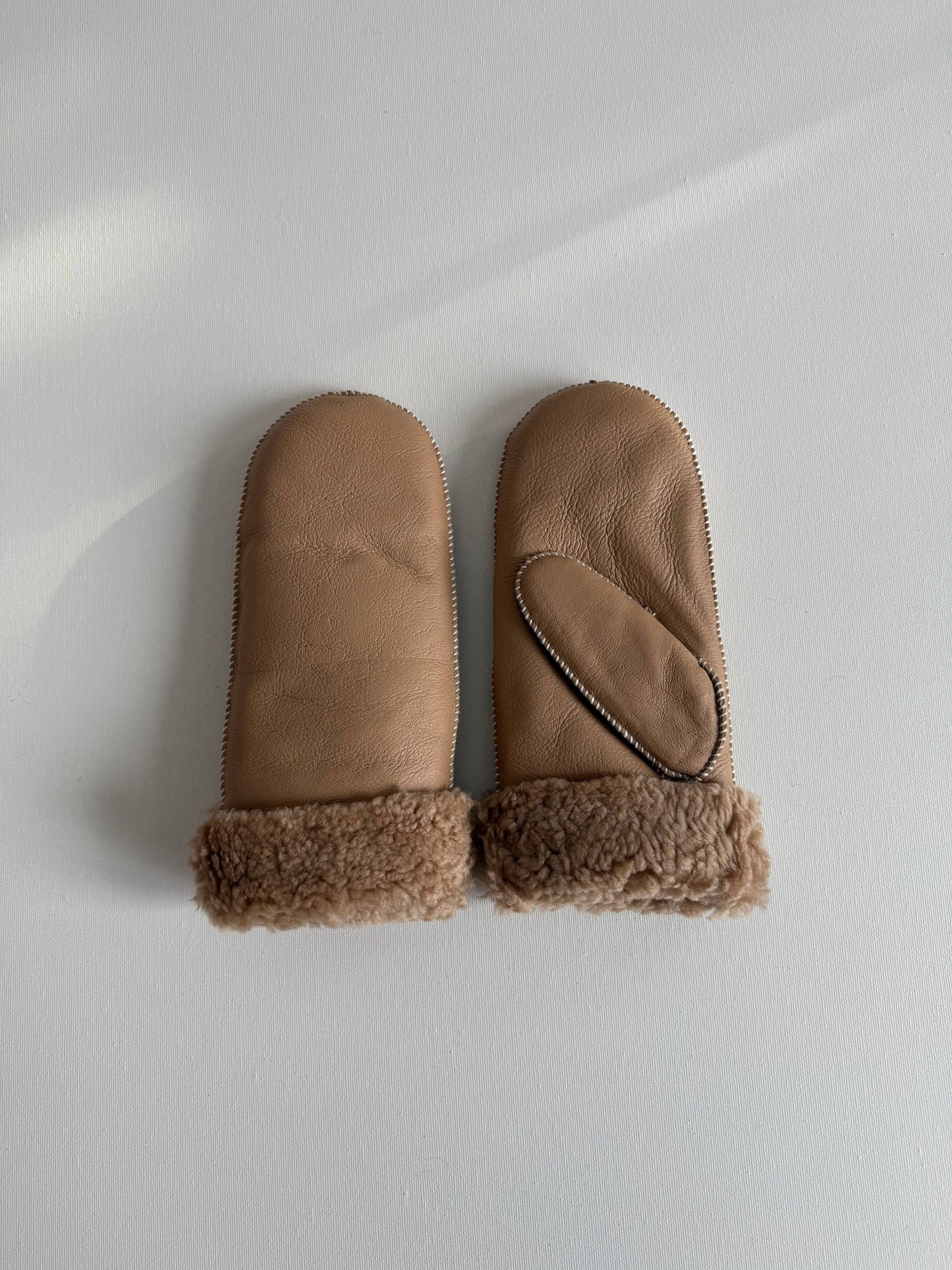 Leather and Shearling Mittens
