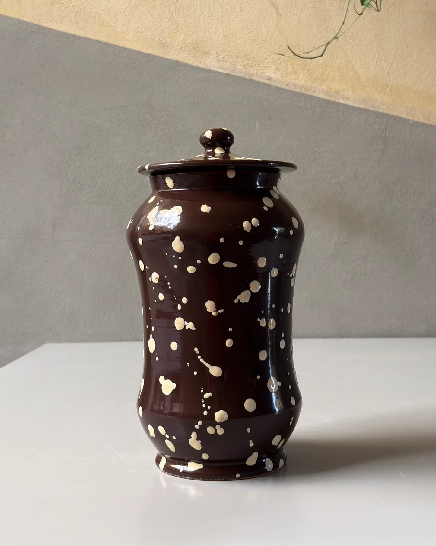 The Italian Biscotti Jar