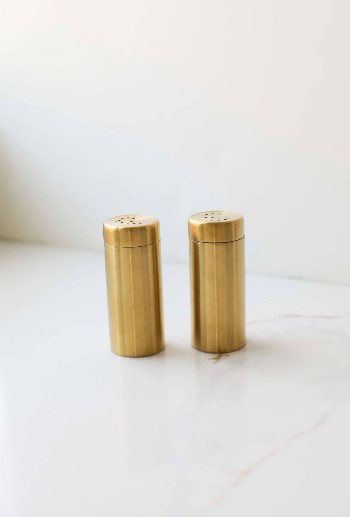 Stainless Steel Salt and Pepper Shakers