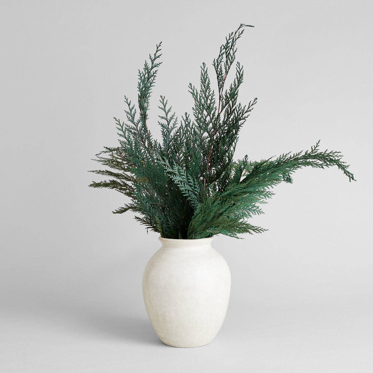Preserved Cedar Bunch