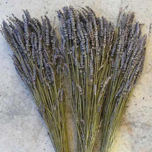 Dried Purple French Lavender Bunch
