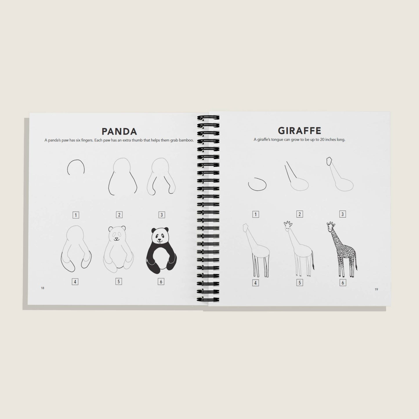 All the Animals: How to Draw