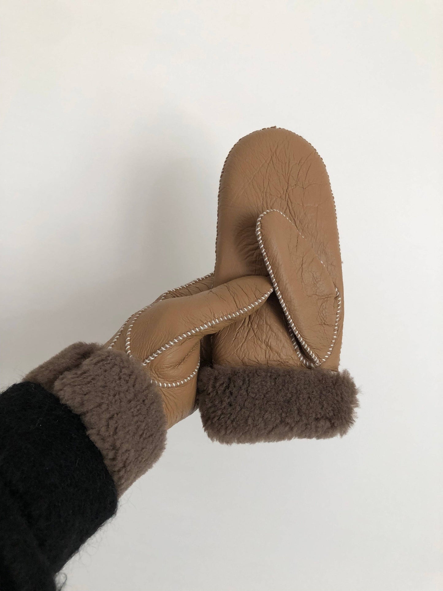 Leather and Shearling Mittens