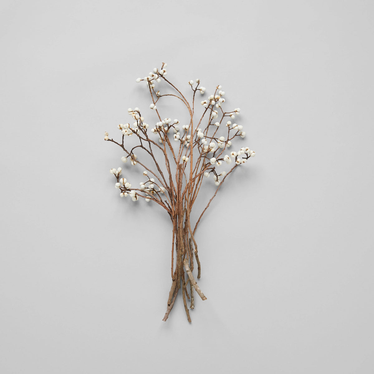 Dried Tallow Berries