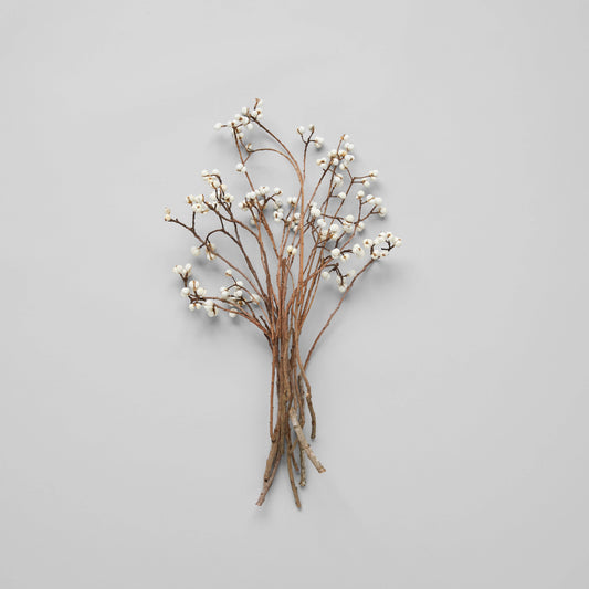 Dried Tallow Berries