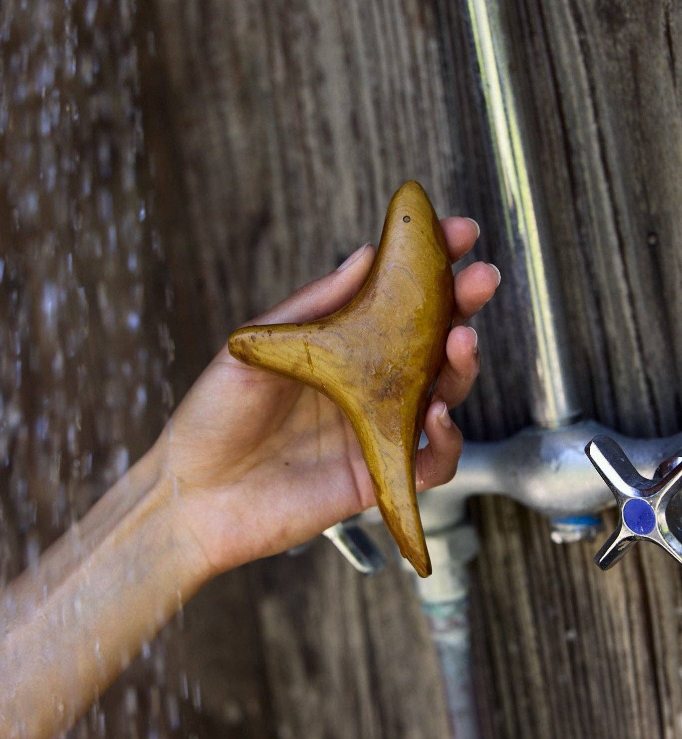 The Bird Body Gua Sha