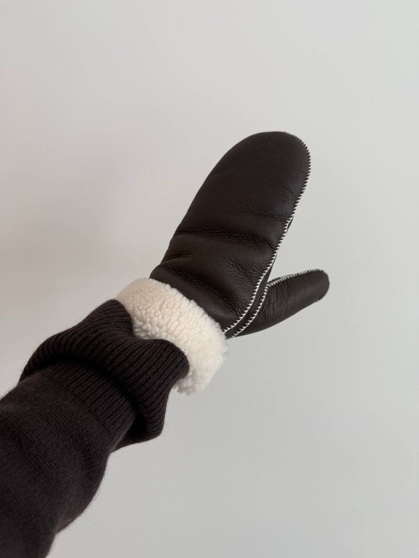 Leather and Shearling Mittens