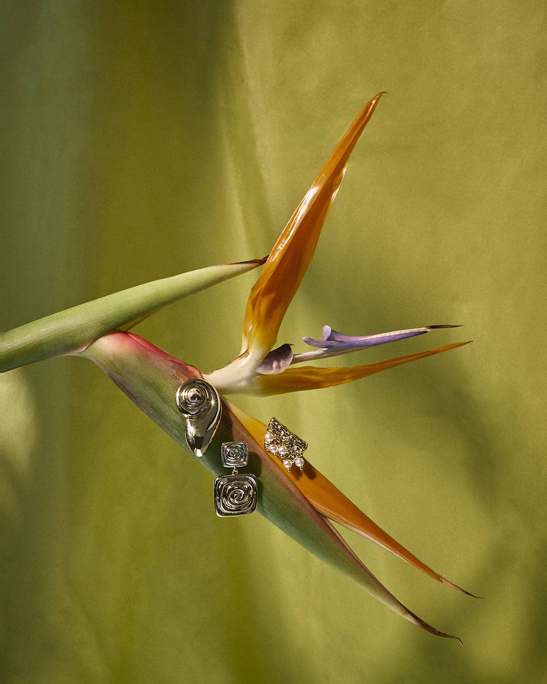 The Palma Shell Studs- Gold