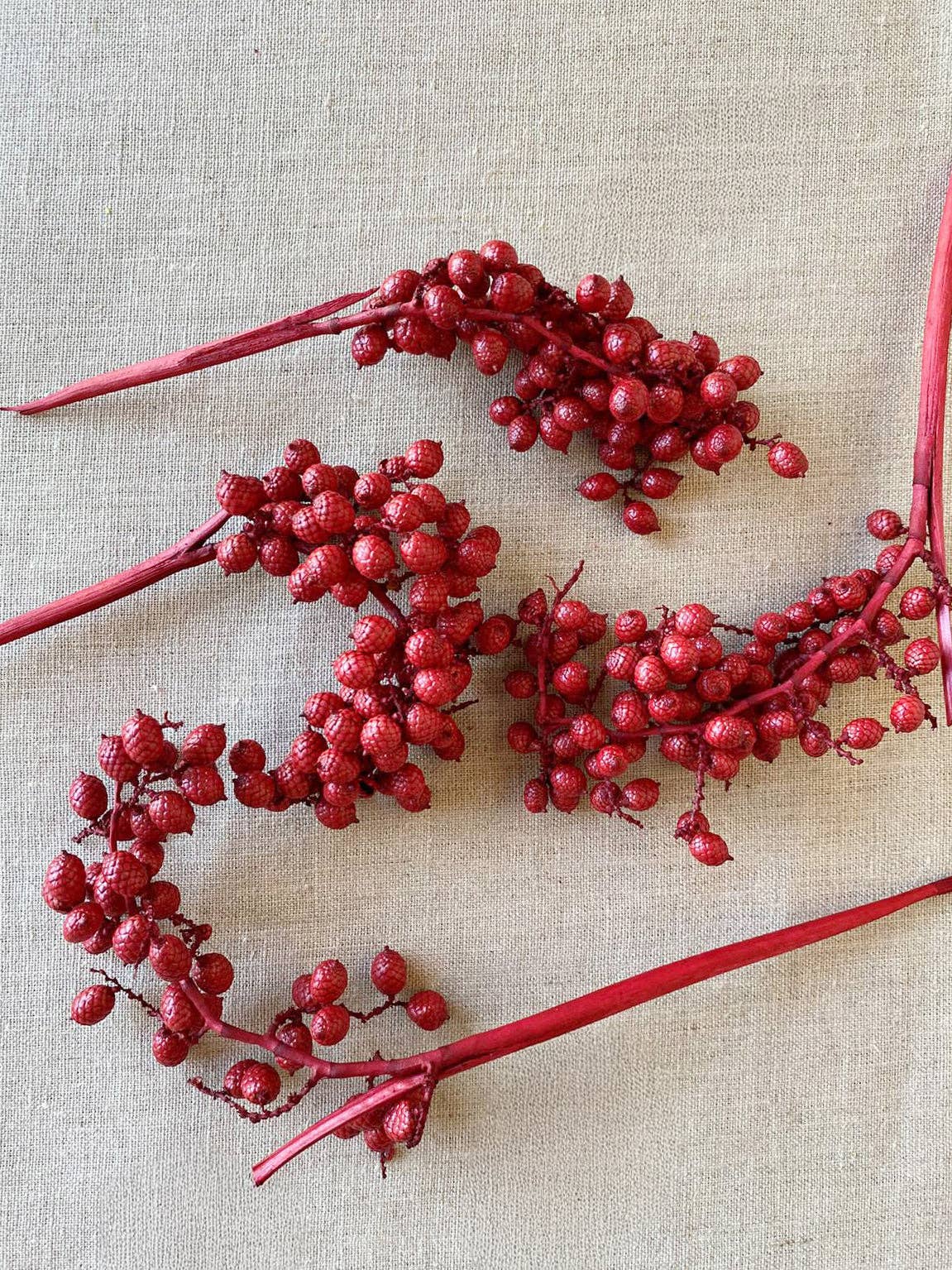 Dried Natural Red Canella Berry Stems