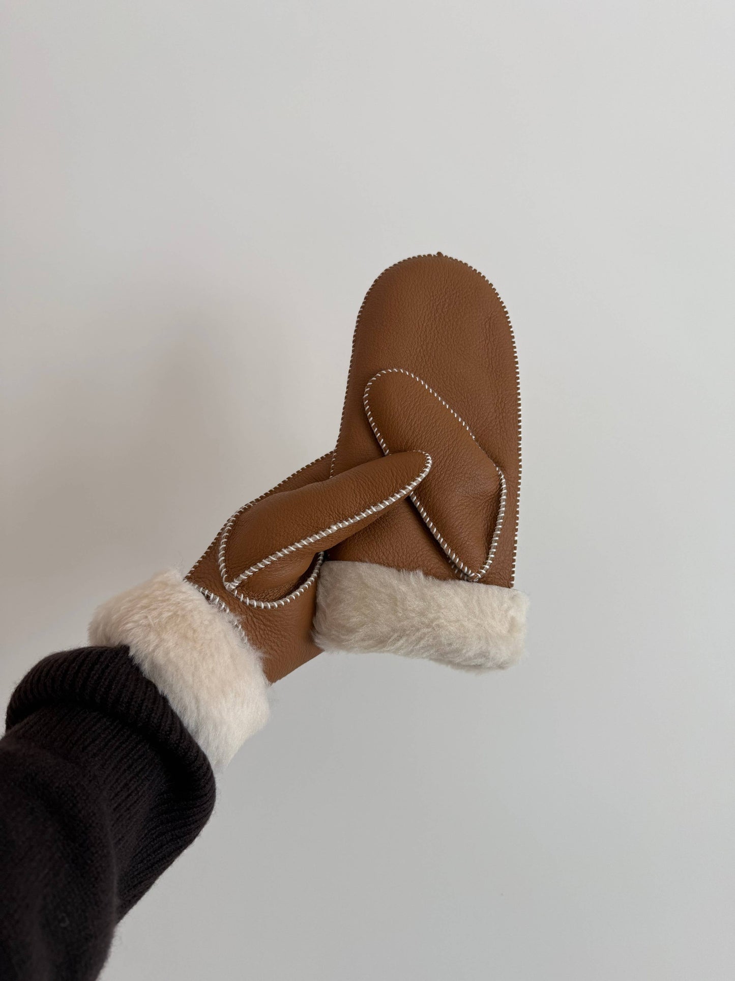 Leather and Shearling Mittens