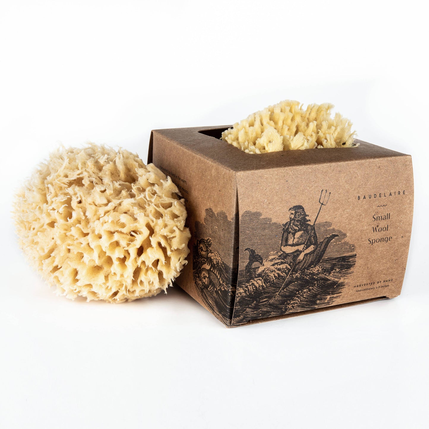 Bath Sea Sponge-Small 4.5"