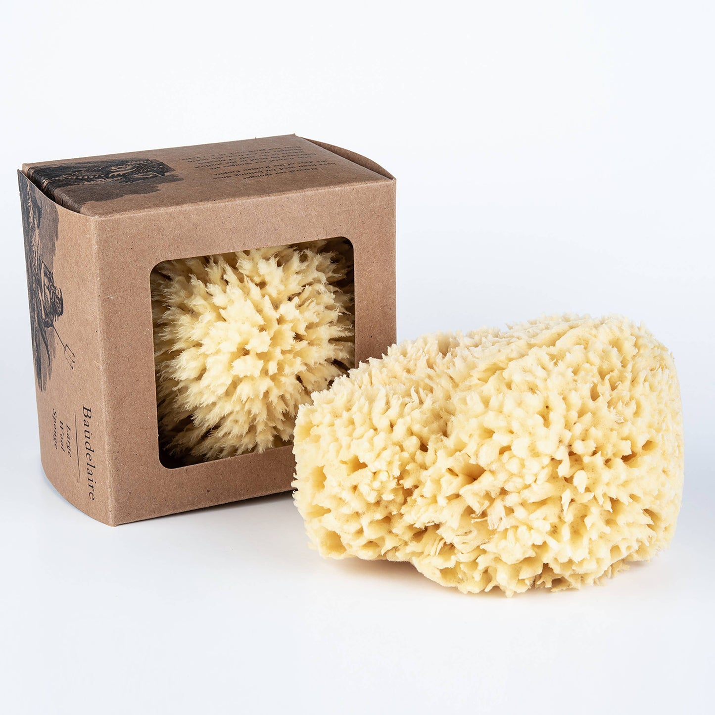 Bath Sea Sponge - Large 5.5"