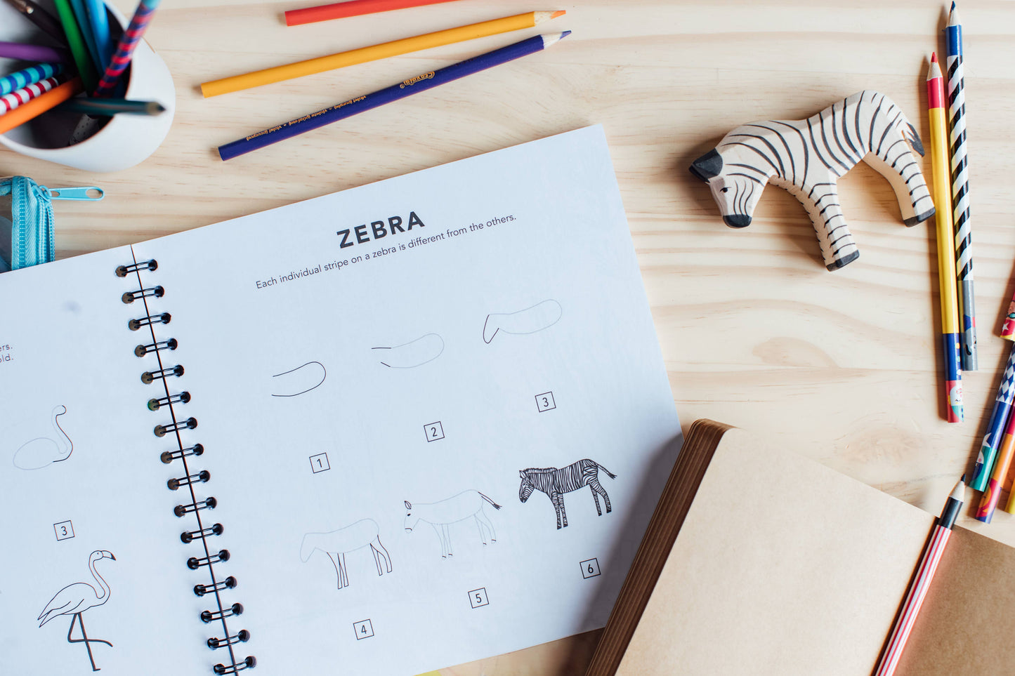 All the Animals: How to Draw