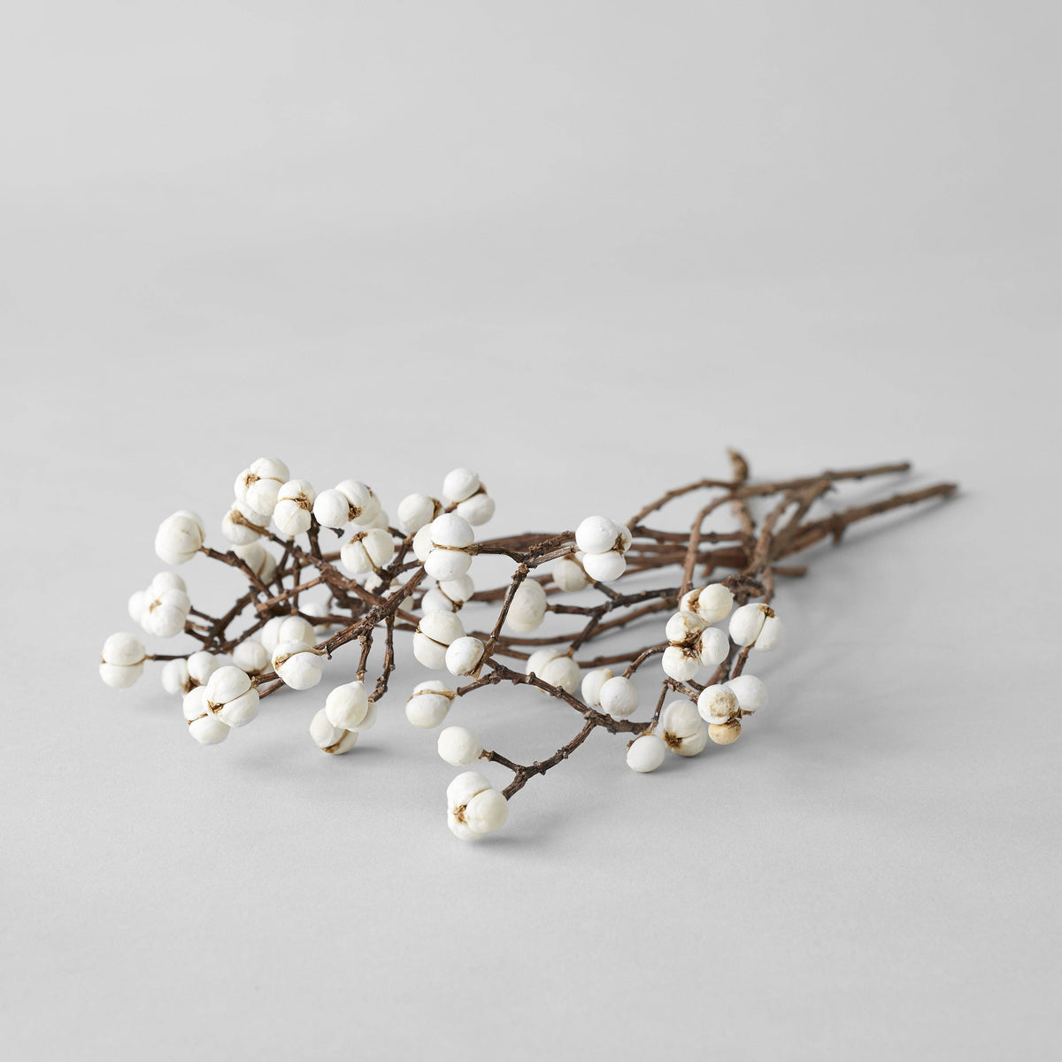 Dried Tallow Berries