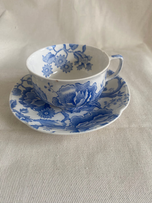 Teacup and Saucer- Johnson Brothers