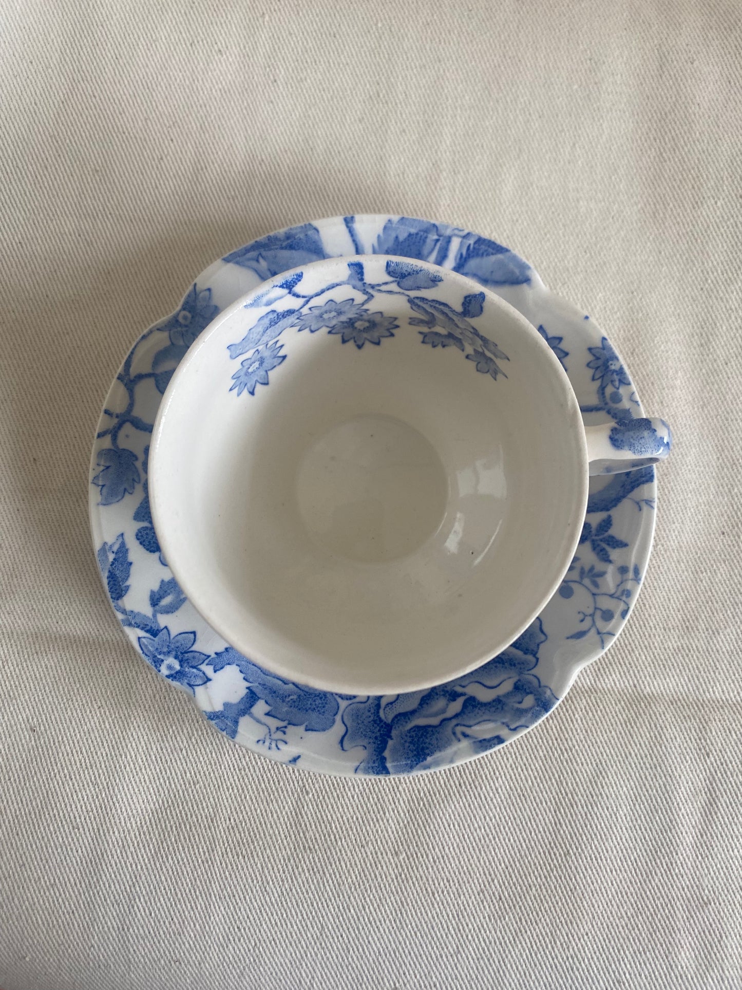 Teacup and Saucer- Johnson Brothers