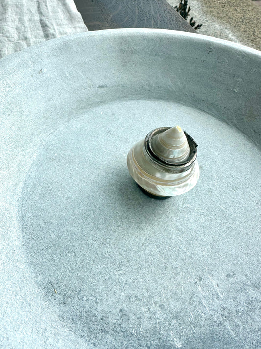 Vintage Mother of Pearl Shell Box