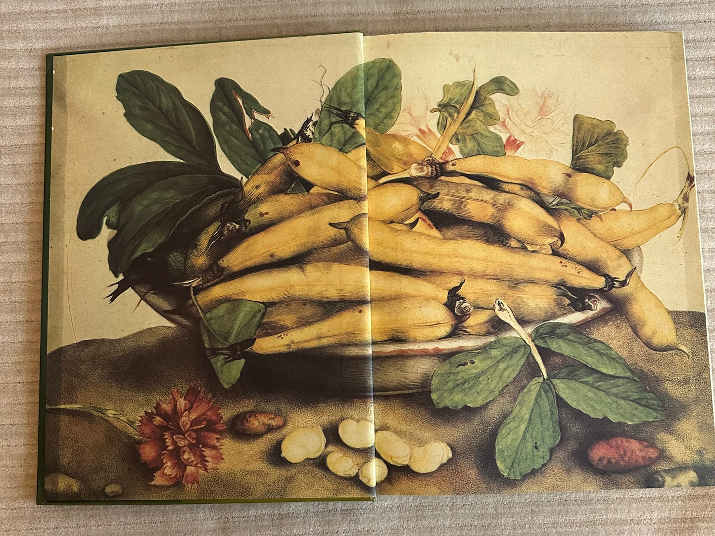 Large Italian Cookbook