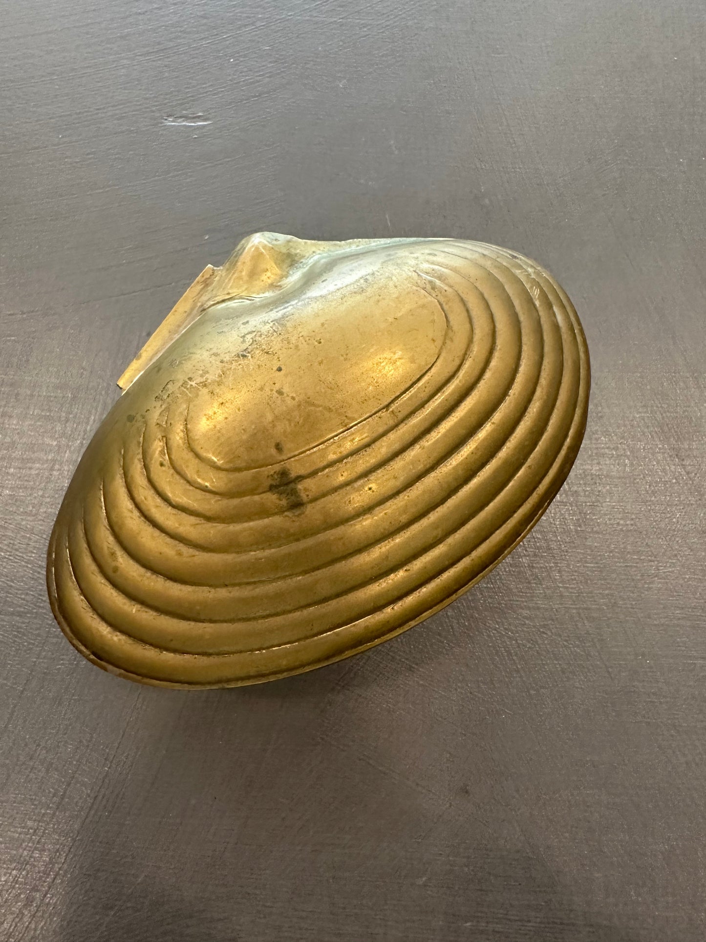 Antique Brass Shell Box