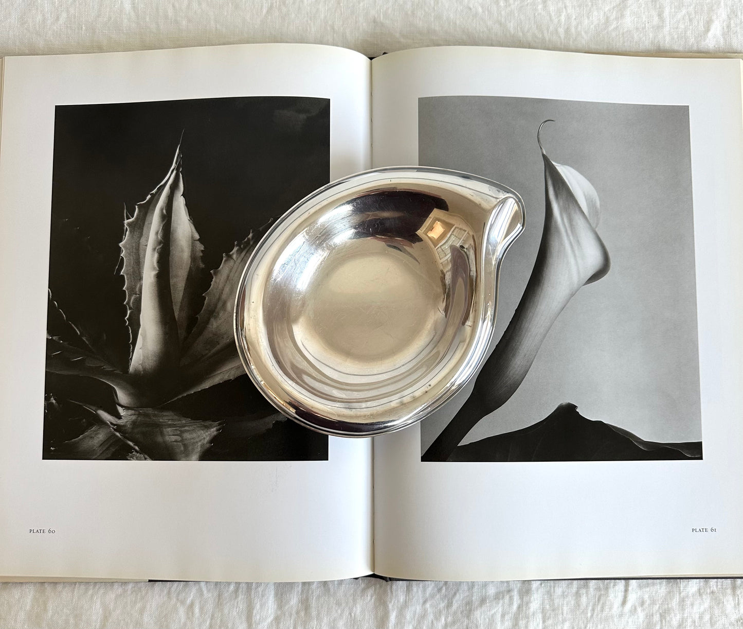 Silver Plate Teardrop Dish