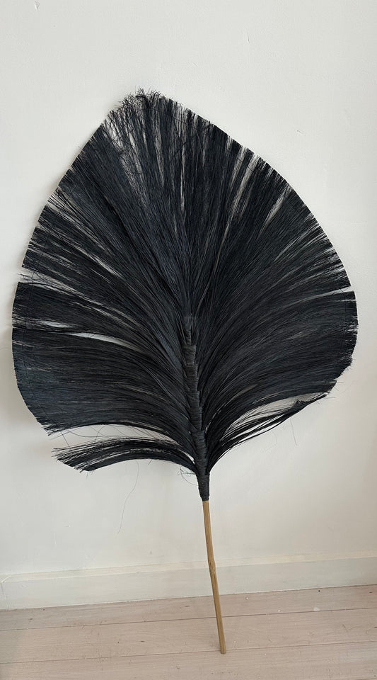 Large Dried Palm Leaf