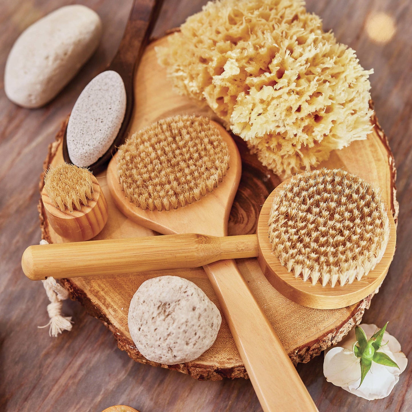 Bath Sea Sponge - Large 5.5"