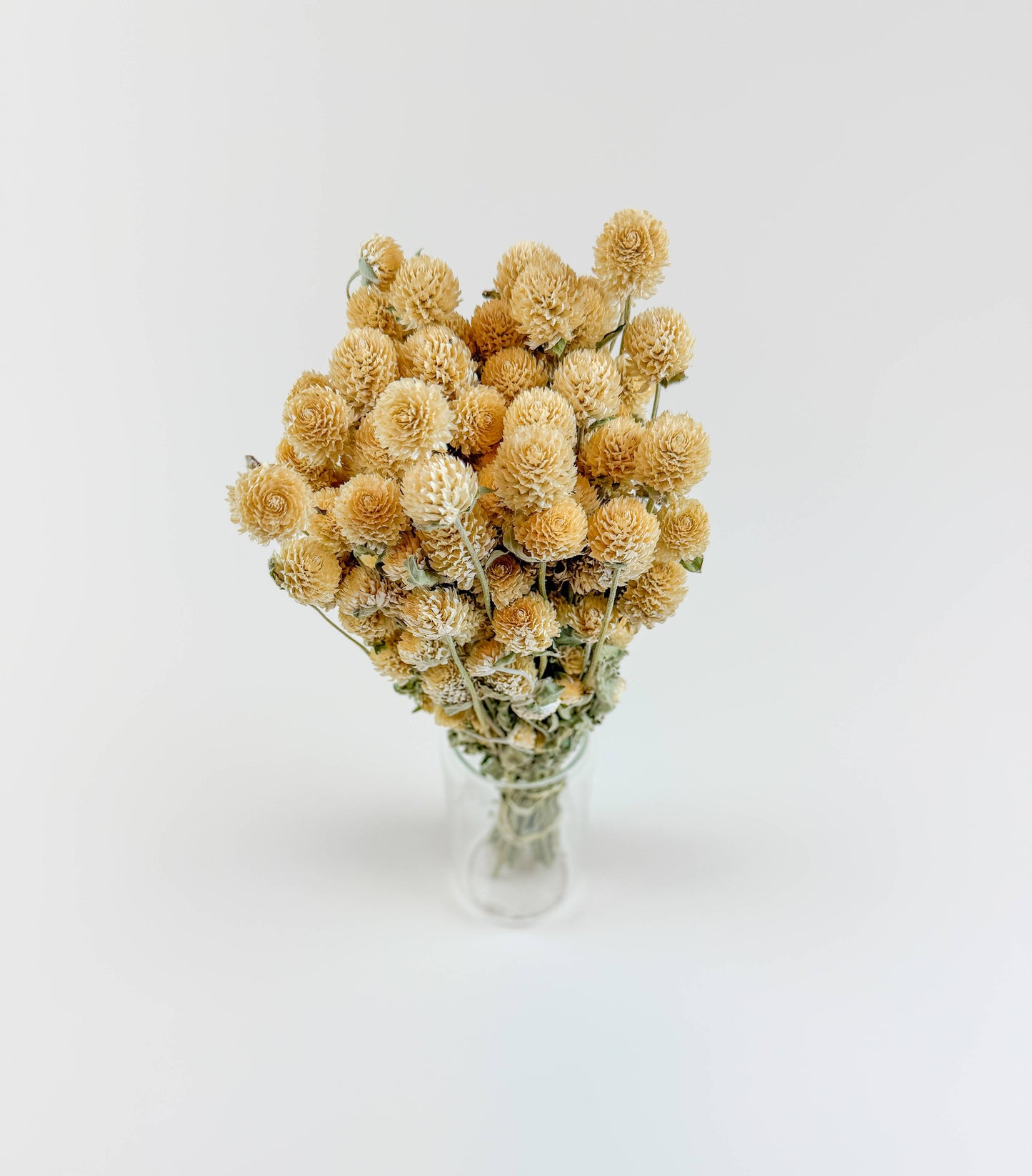 Honey Globe Amaranth – Naturally Dried Flowers