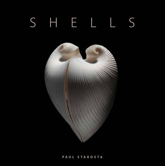 Shells by Paolo Portoghesi