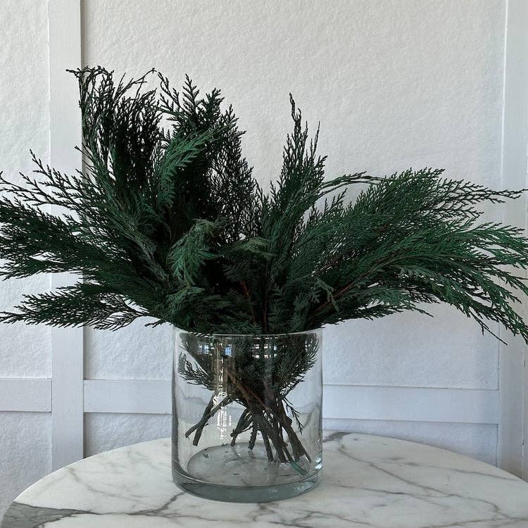 Preserved Cedar Bunch