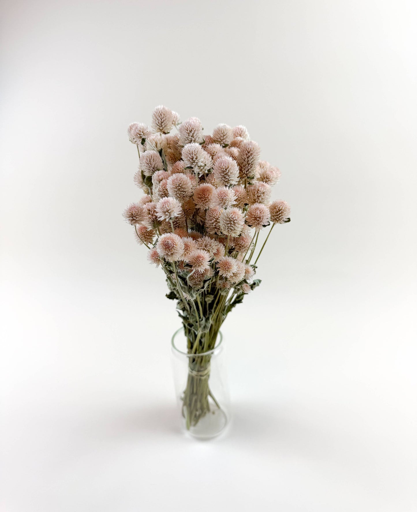 Peaches and Cream Globe Amaranth – Naturally Dried Flowers