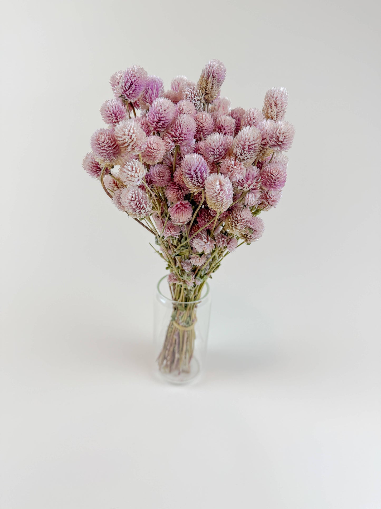 Blush Pink Globe Amaranth – Naturally Dried Flowers