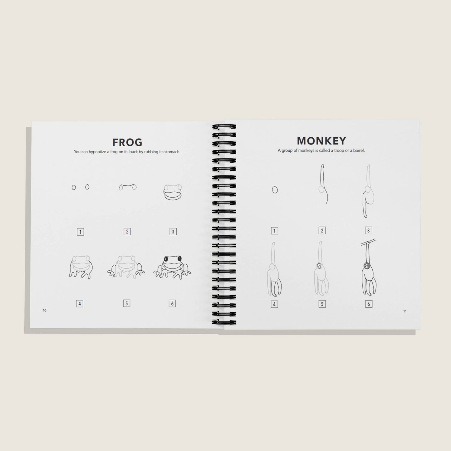 All the Animals: How to Draw
