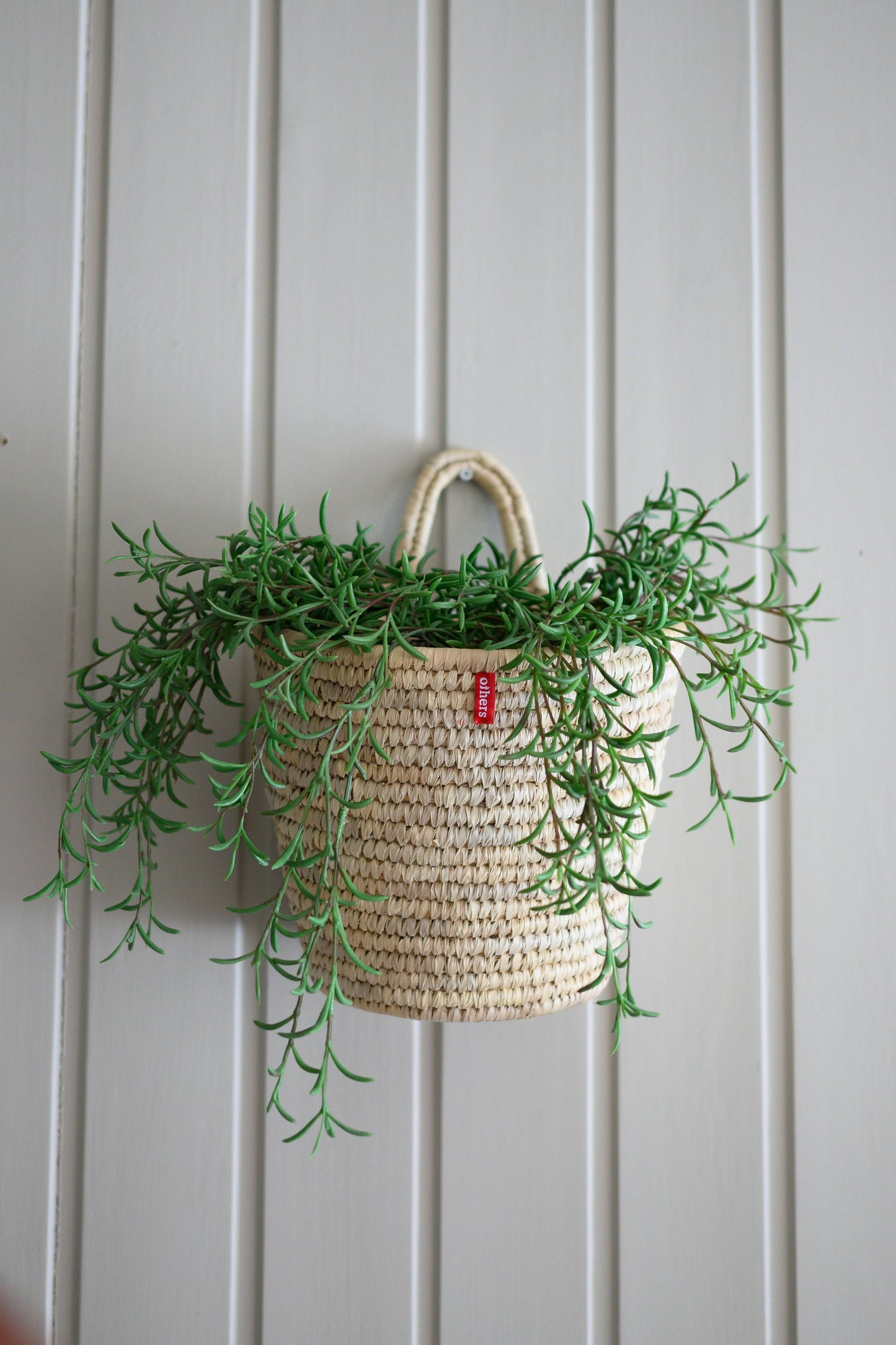 Hanging Basket